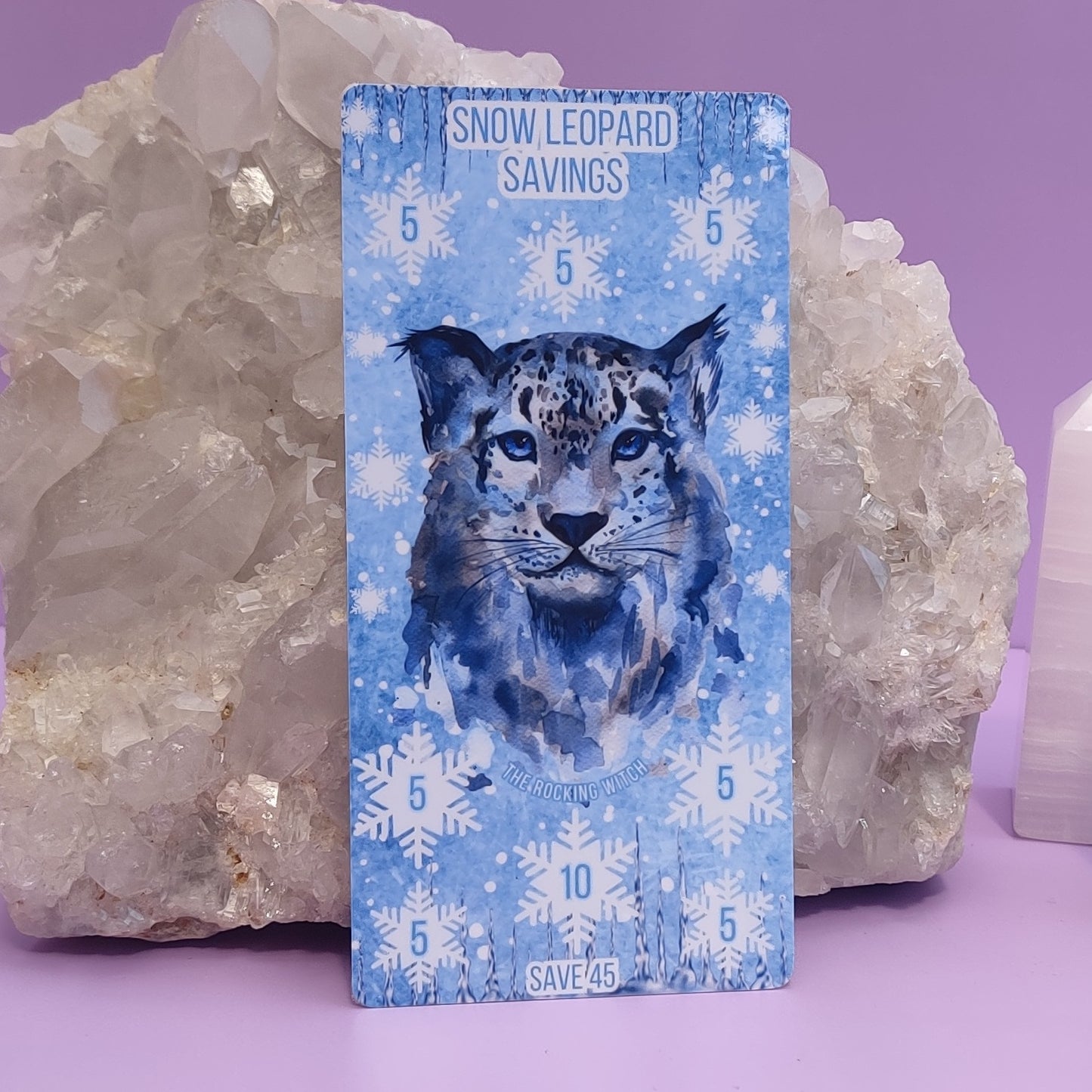 Snow Leopard savings challenge