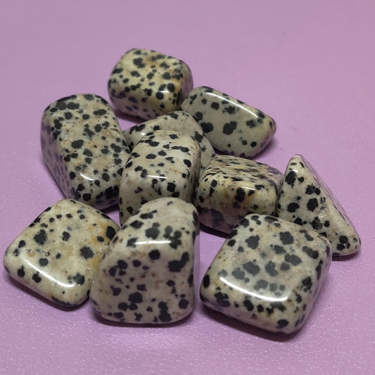 Dalmation Jasper tumble stone