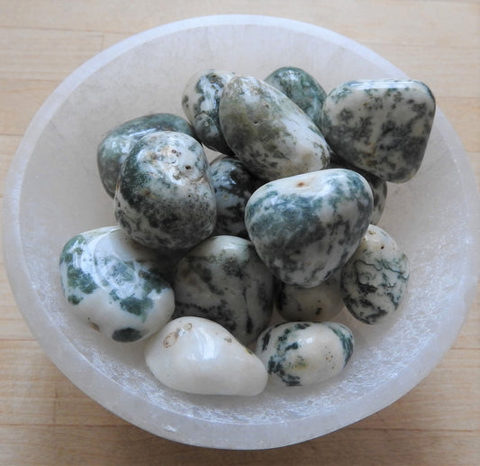 Tree Agate tumble stone